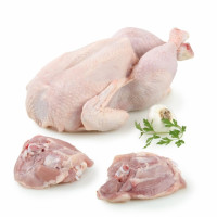 Contras de pollo Carrefour 600 g aprox