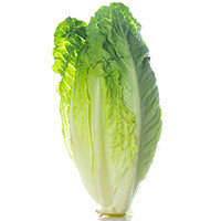 Lechuga Romana EROSKI, unidad Lechuga Romana EROSKI, unidad