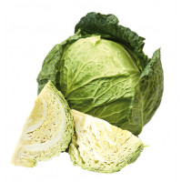 Repollo rizado kg Repollo rizado kg