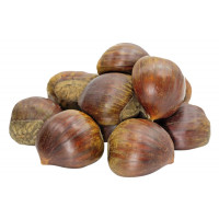 Castaña kg Castaña kg