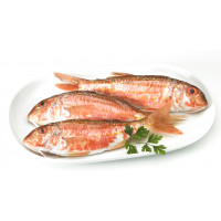 Salmonete kg Salmonete kg