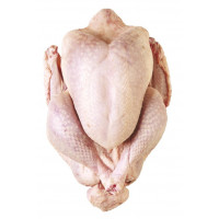 Pavo extra retractilado bandeja peso aproximado 6.5 kg Pavo extra retractilado bandeja peso aproximado 6.5 kg