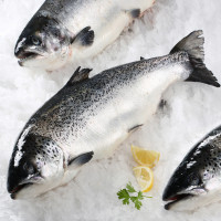 Salmón 3 kg aprox