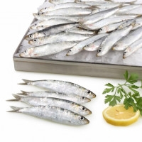 Sardina parrocha 1 kg aprox