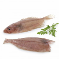 Gallo mediano 700 g aprox
