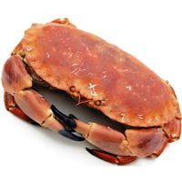 Buey fresco cocido, pieza aprox. 500 g