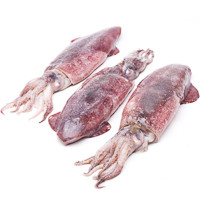 Calamar elaborado entero 200-600, al peso, compra mínima 600 g