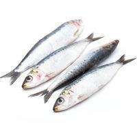 Sardina del País Vasco, al peso, compra mínima 500 g