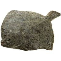 Rodaballo 1-2 kg PRODEMAR, pieza al peso aprox. 1.8 kg