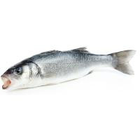 Lubina de crianza, pieza aprox. 350 g