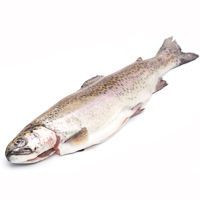 Trucha asalmonada eviscerada, pieza aprox. 600 g