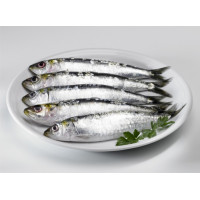 Sardina kg