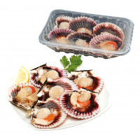Vieira del Pacífico m-concha desco. 250g