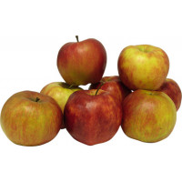 Manzana Jonagored kg