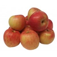 Manzana Fuji kg
