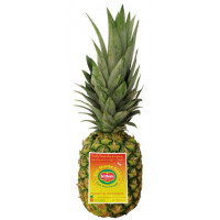 Pitahaya roja kg