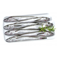 Merluza-Pescadilla kg
