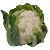 Coliflor u