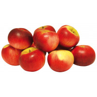 Manzana Akane kg