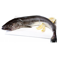 Merluza pincho 2-3 kg