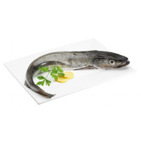 Merluza pincho 0.7-1 kg