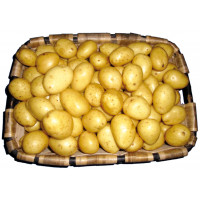 Patata de asar kg