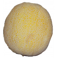 Melón Galia kg