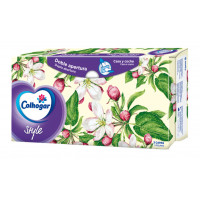 Pañuelos Froiz caja 100 u