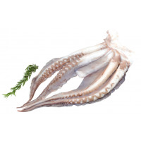 Pulpo cocido kg
