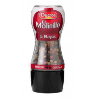 5 Bayas Ducros molinillo 24 g